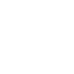 An icon of a document